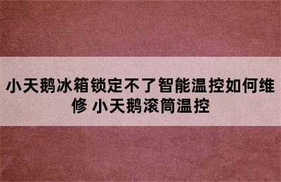 小天鹅冰箱锁定不了智能温控如何维修 小天鹅滚筒温控